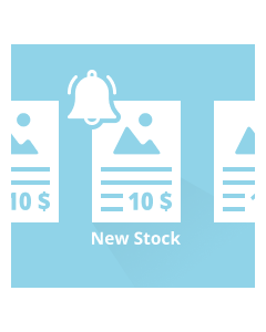 Customer Item Stock Alert for Magento 2