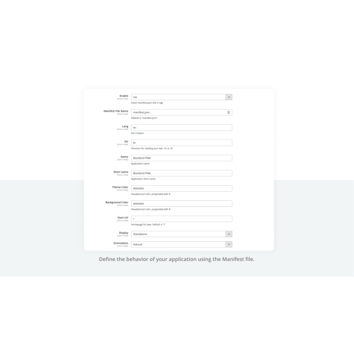 Manifest.json