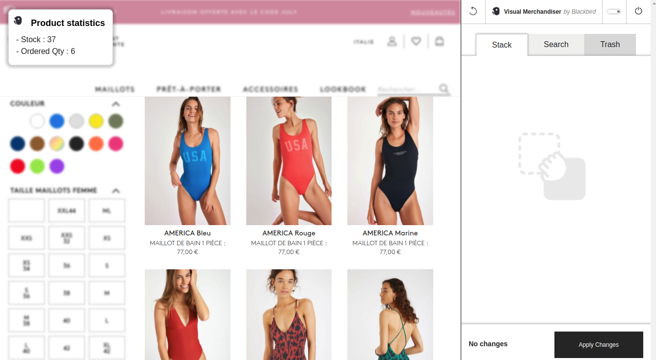 interface-general-usage-extension-front-end-visual-merchandiser-blackbird